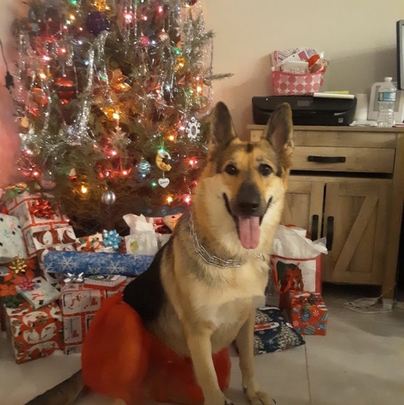 MISS RUBY - HAPPY 7TH BIRTHDAY!!! - Picture 13 of 16